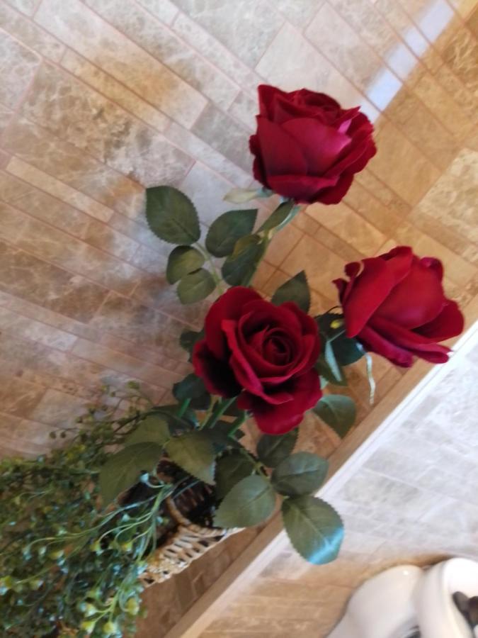 Casa Maria Roses Ξενοδοχείο Rîşnov Εξωτερικό φωτογραφία