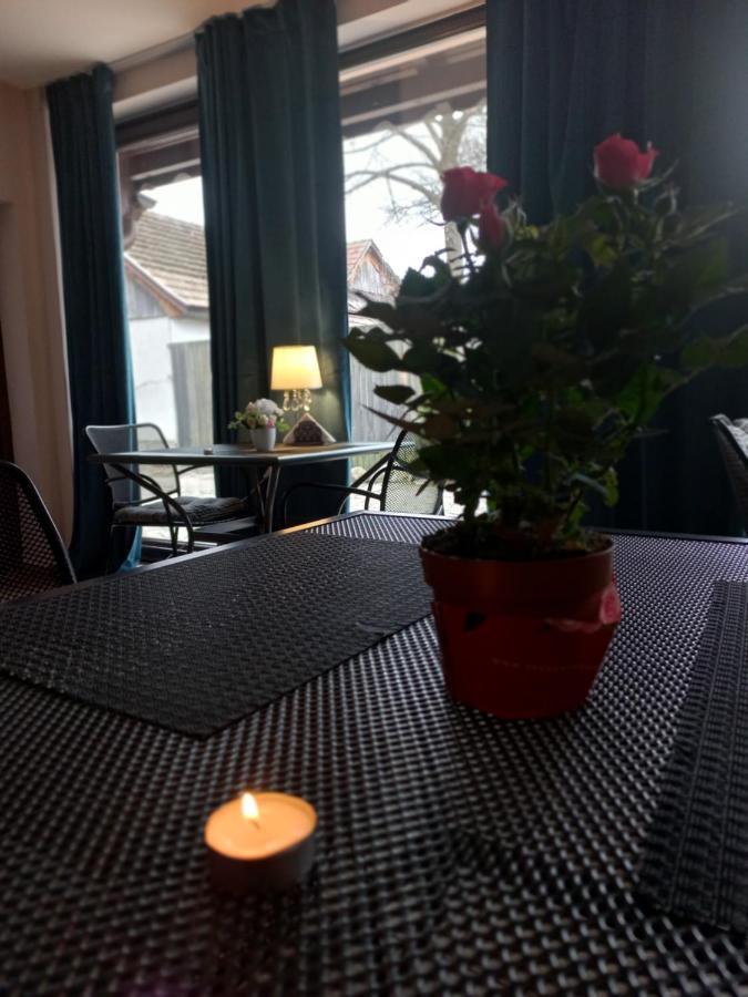 Casa Maria Roses Ξενοδοχείο Rîşnov Εξωτερικό φωτογραφία