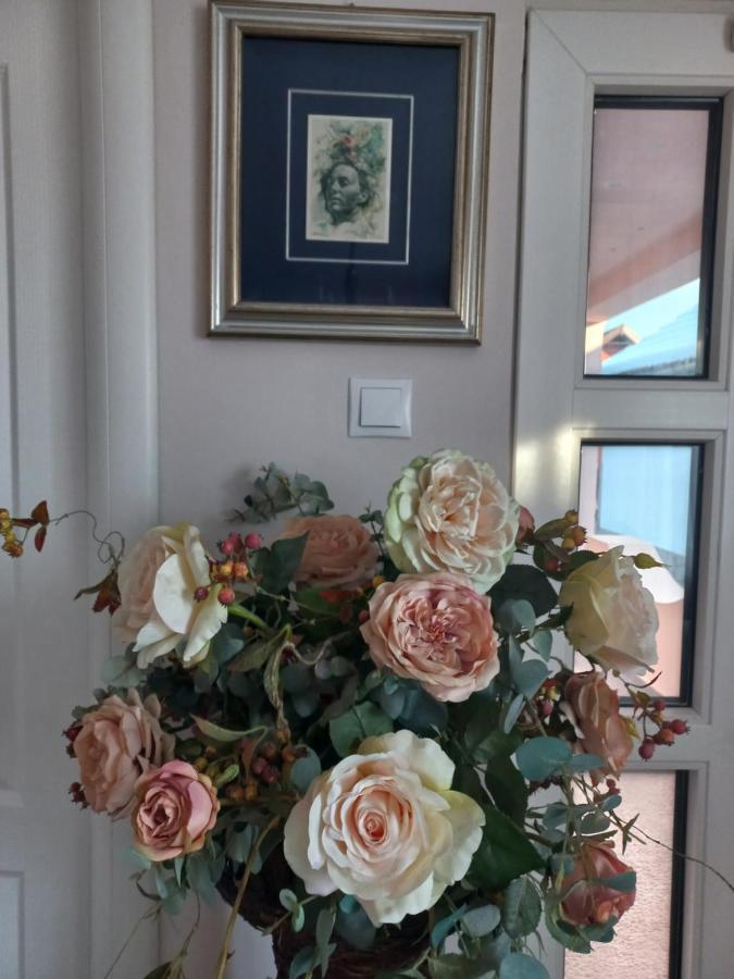 Casa Maria Roses Ξενοδοχείο Rîşnov Εξωτερικό φωτογραφία