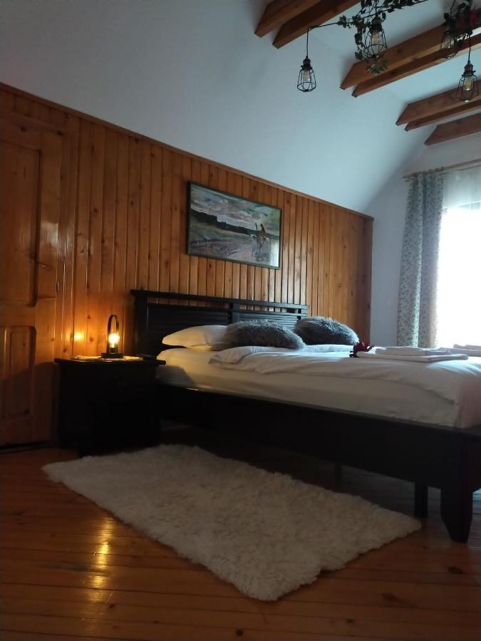 Casa Maria Roses Ξενοδοχείο Rîşnov Εξωτερικό φωτογραφία